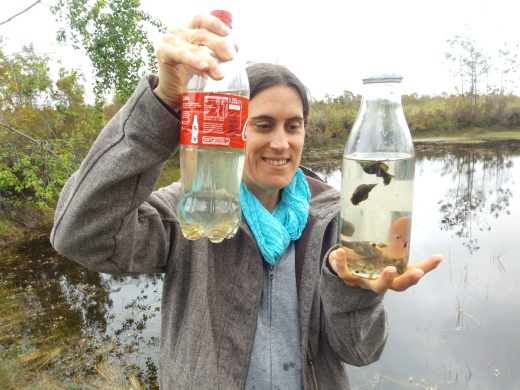 IMG_20190527_1627011